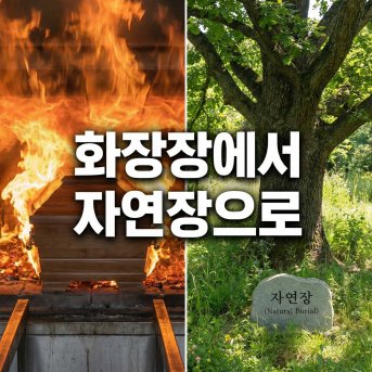 화장장에서 자연장으로